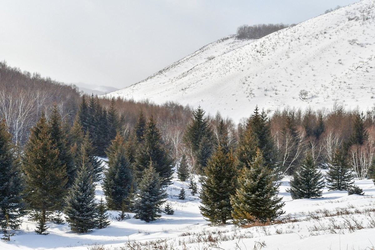 我只是把出去看到的随手记录下来（166）