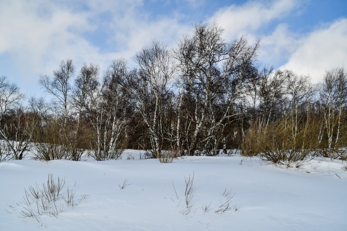 我只是把出去看到的随手记录下来（166）