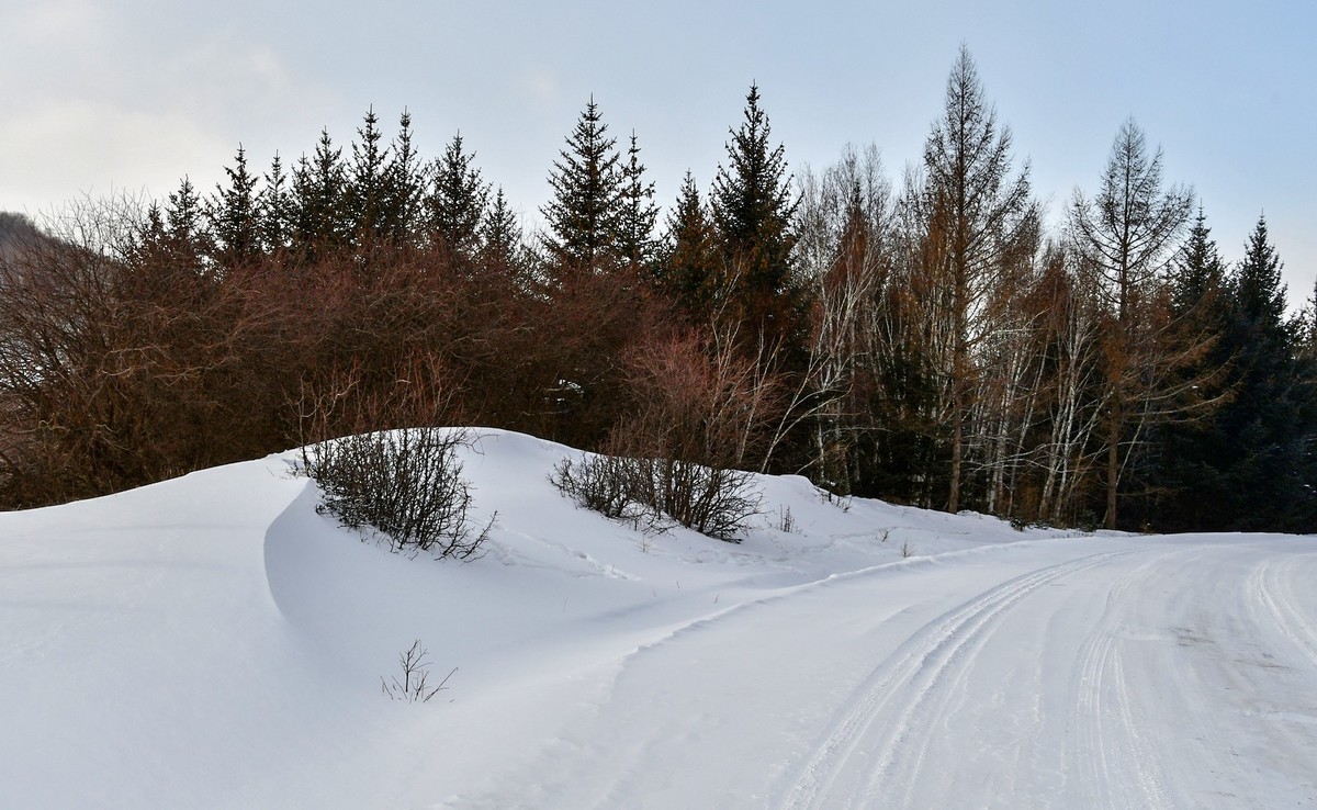 我只是把出去看到的随手记录下来（166）