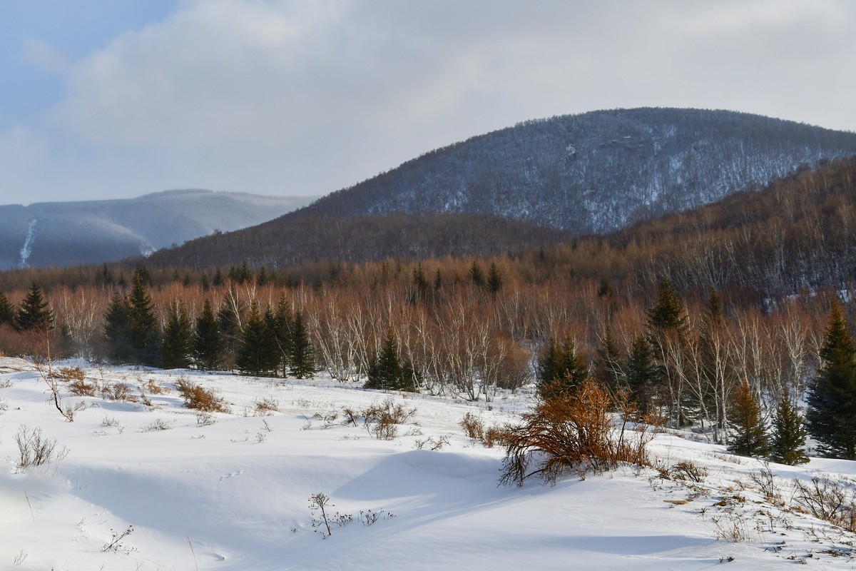 我只是把出去看到的随手记录下来（166）