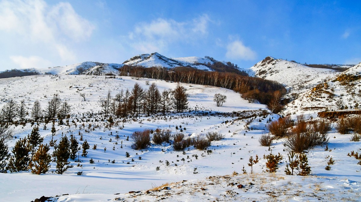 我只是把出去看到的随手记录下来（166）