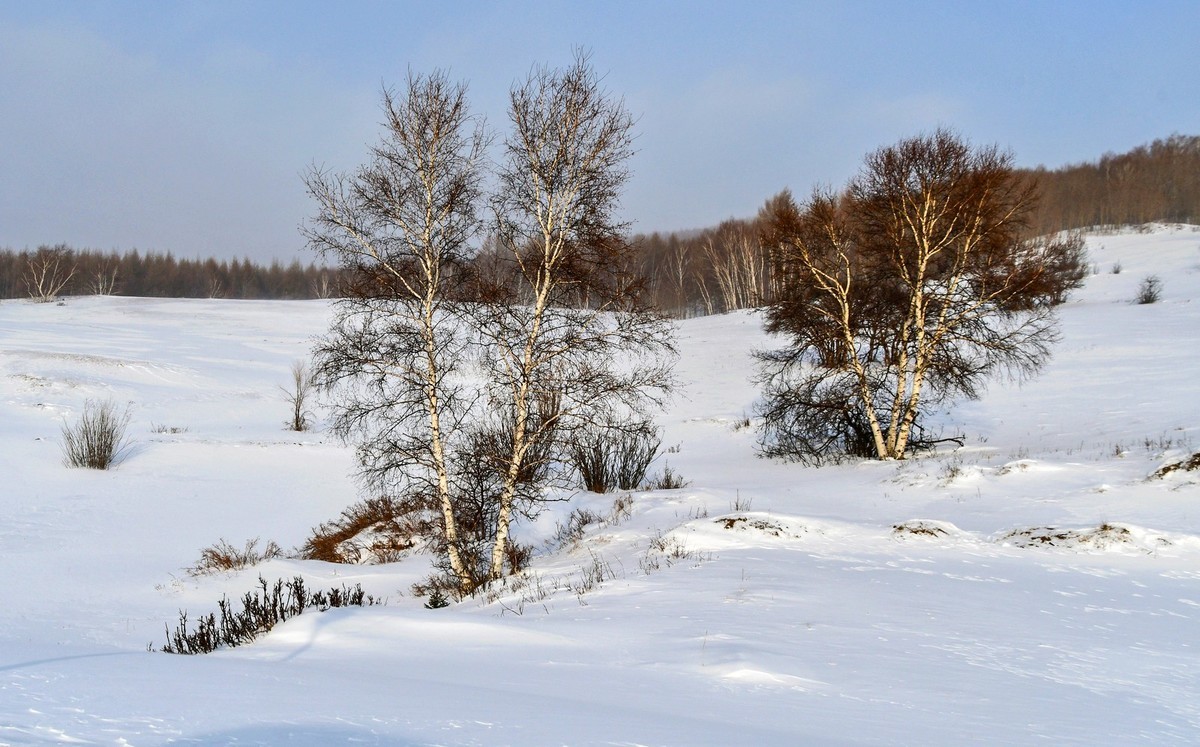我只是把出去看到的随手记录下来（166）