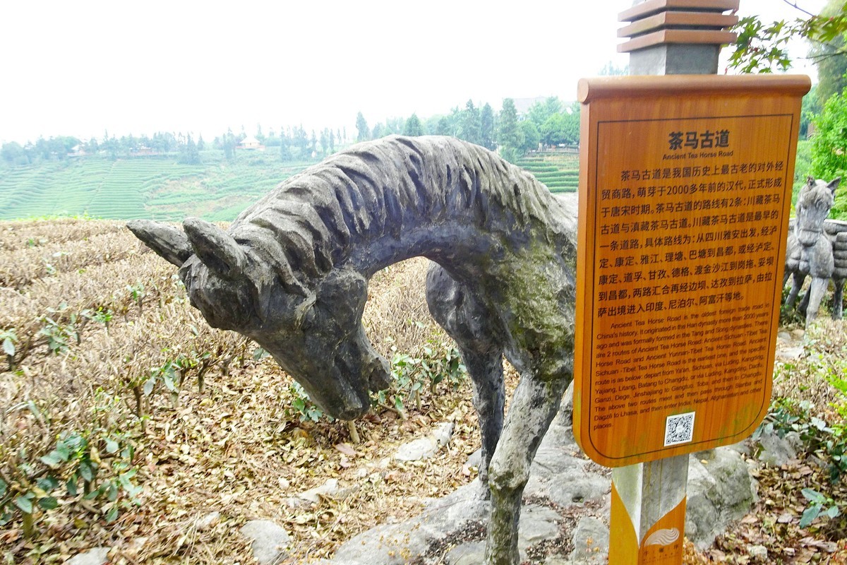 “安逸茶山”上的茶马古道
