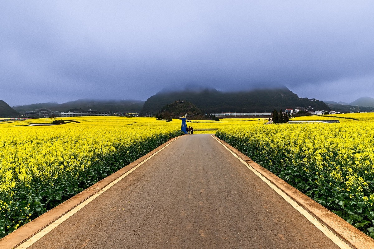 旅游记录 ：云南 · 曲靖 · 罗平 · 金鸡峰丛