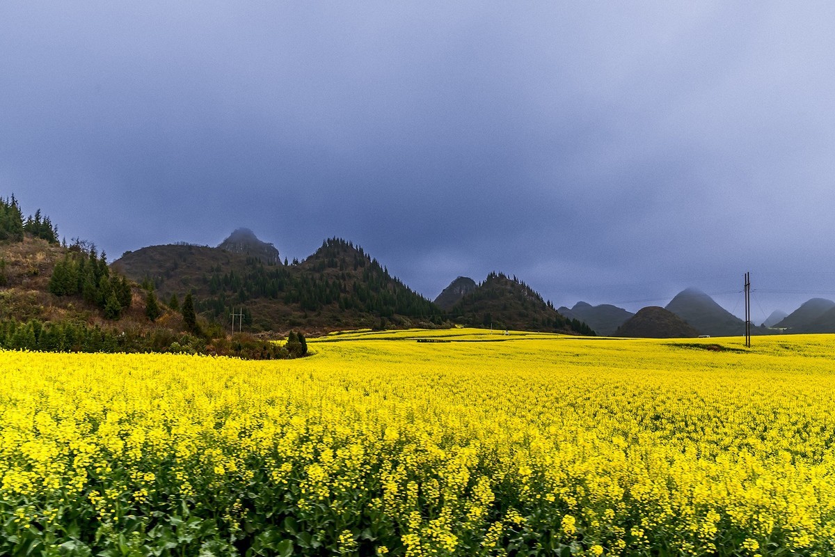 旅游记录 ：云南 · 曲靖 · 罗平 · 金鸡峰丛