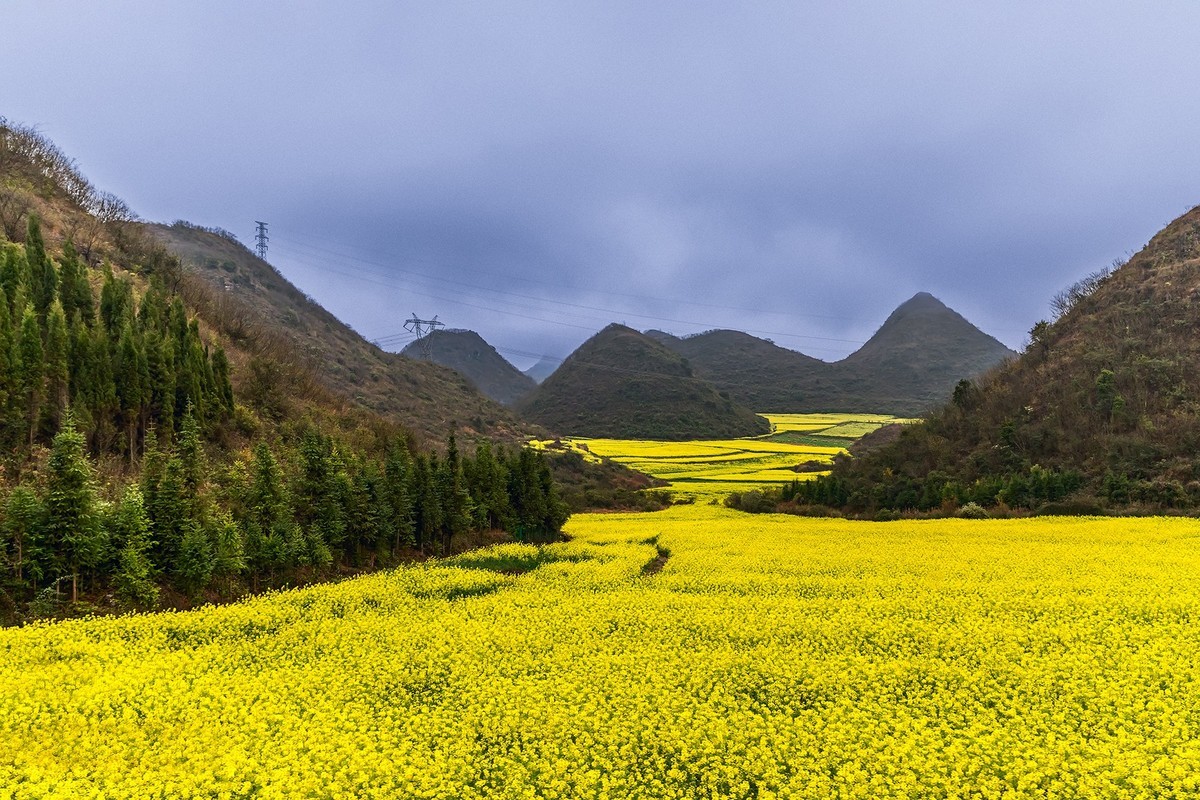 旅游记录 ：云南 · 曲靖 · 罗平 · 金鸡峰丛