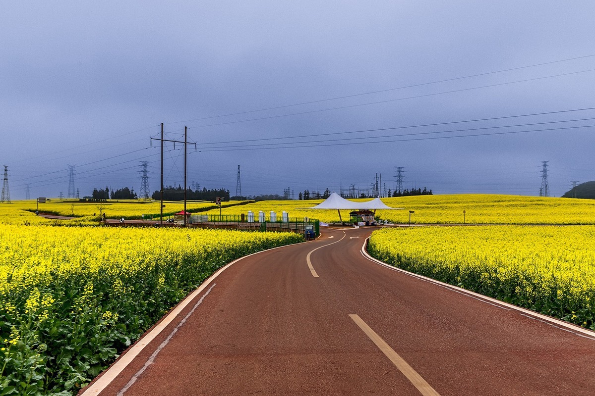 旅游记录 ：云南 · 曲靖 · 罗平 · 金鸡峰丛