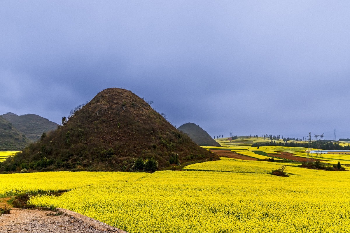 旅游记录 ：云南 · 曲靖 · 罗平 · 金鸡峰丛