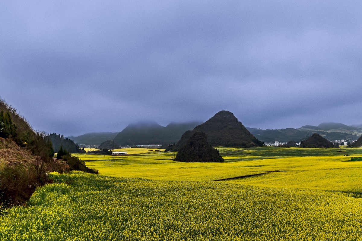 旅游记录 ：云南 · 曲靖 · 罗平 · 金鸡峰丛