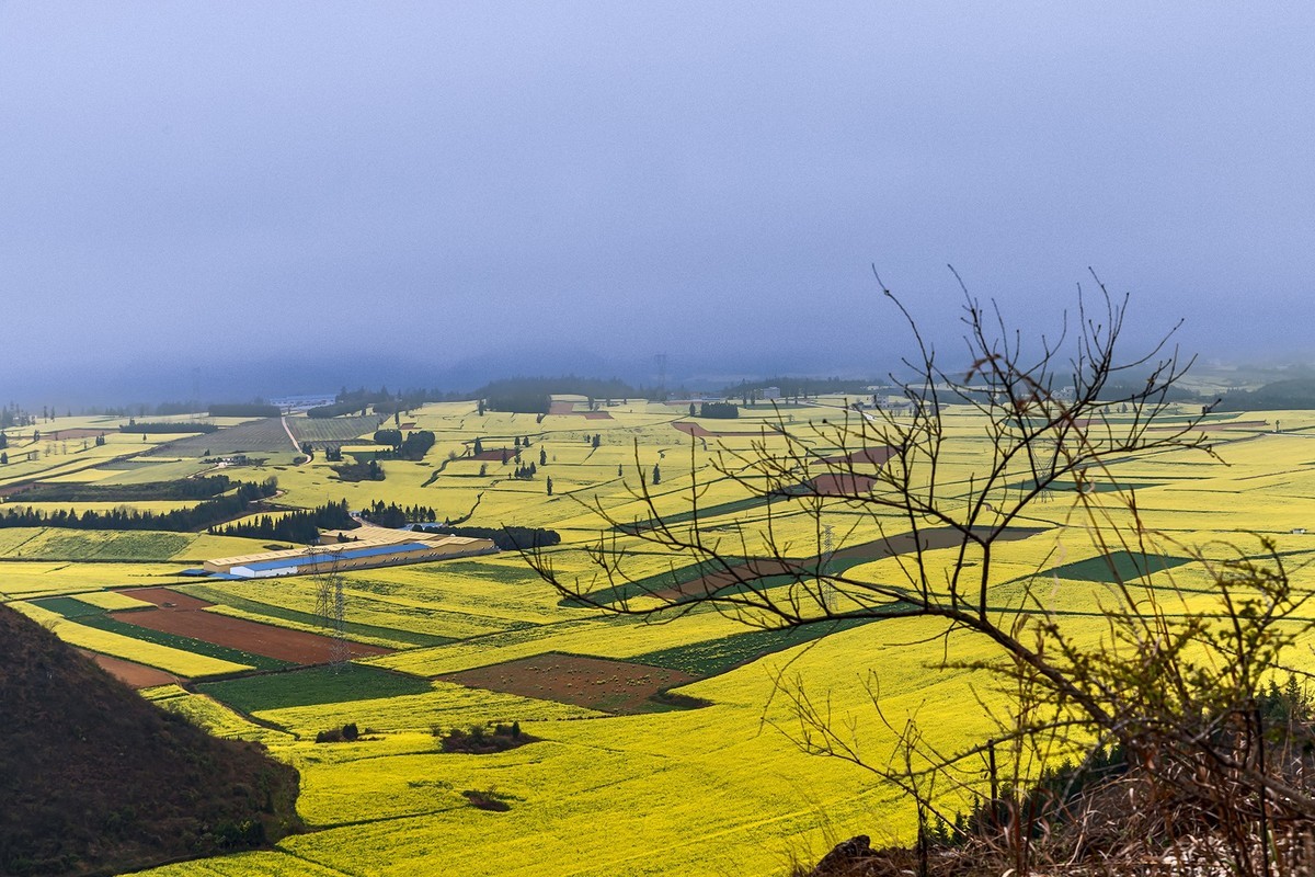 旅游记录 ：云南 · 曲靖 · 罗平 · 金鸡峰丛