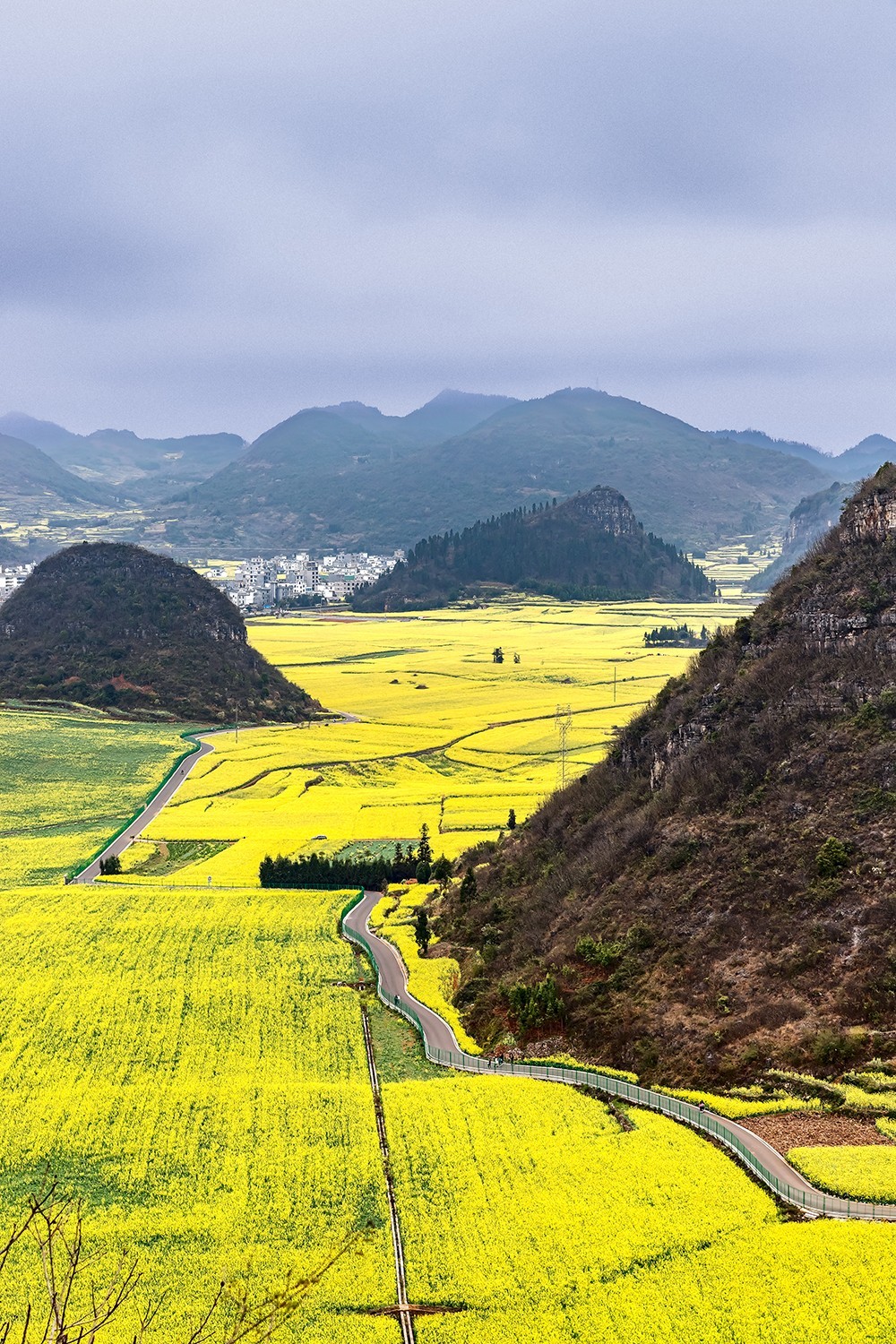 旅游记录 ：云南 · 曲靖 · 罗平 · 金鸡峰丛