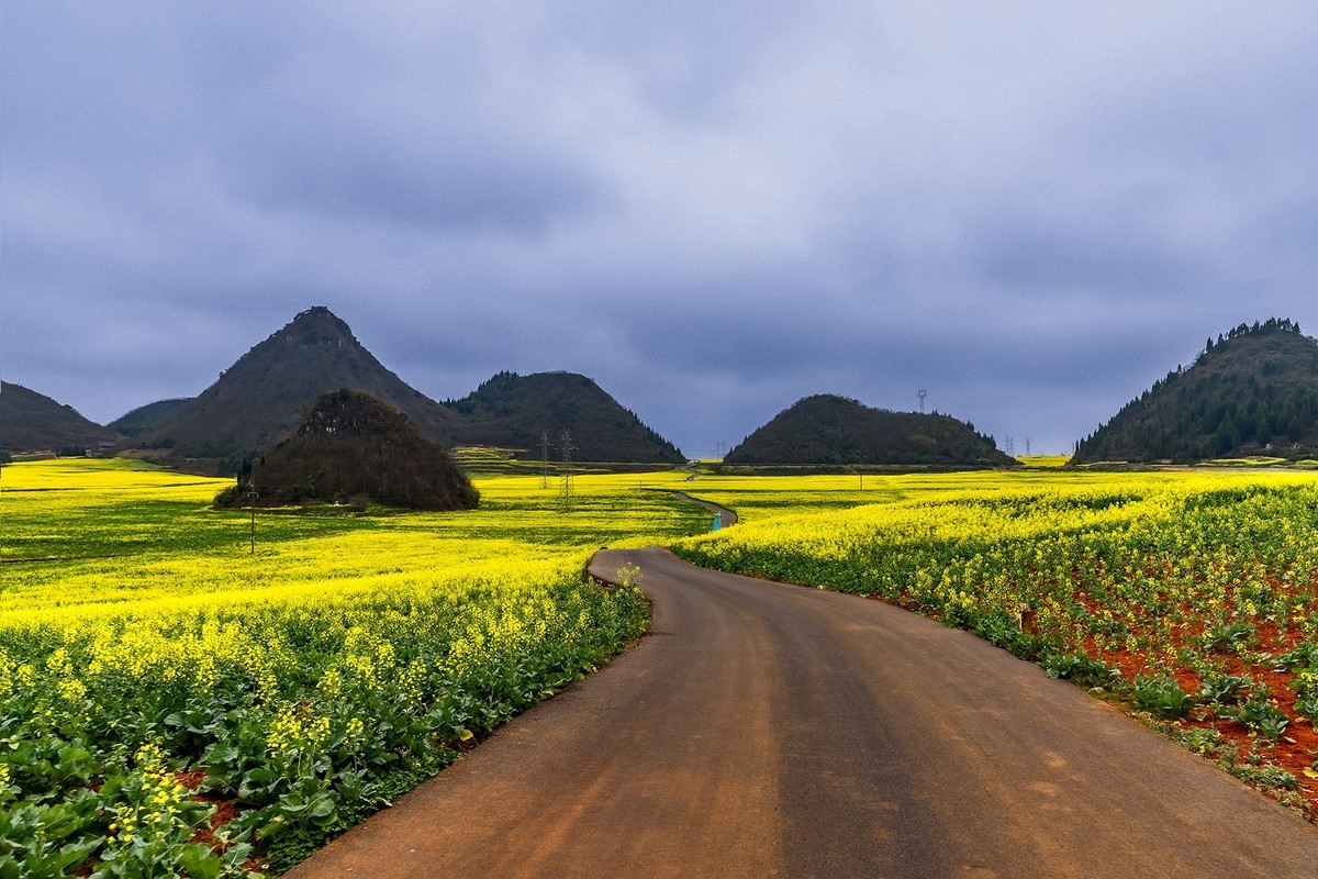 旅游记录 ：云南 · 曲靖 · 罗平 · 金鸡峰丛