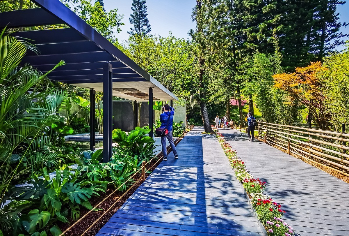 深圳仙湖植物园掠影