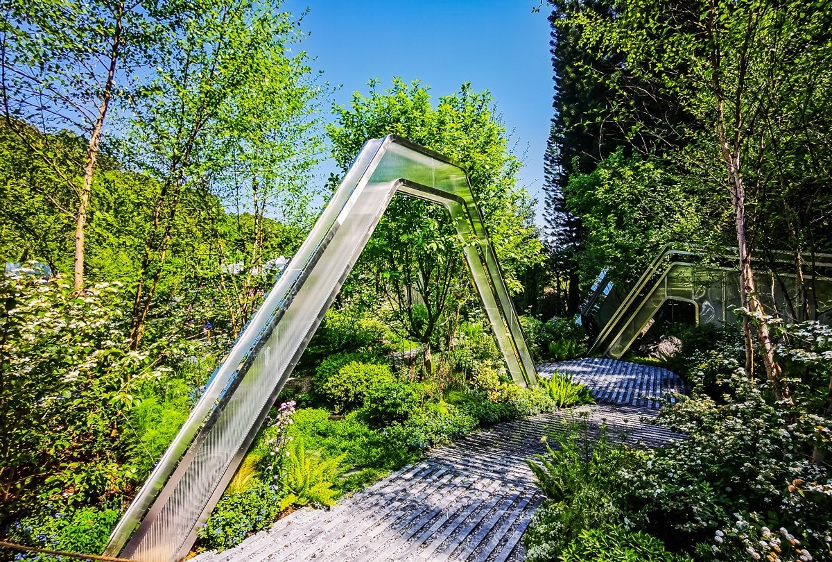 深圳仙湖植物园掠影