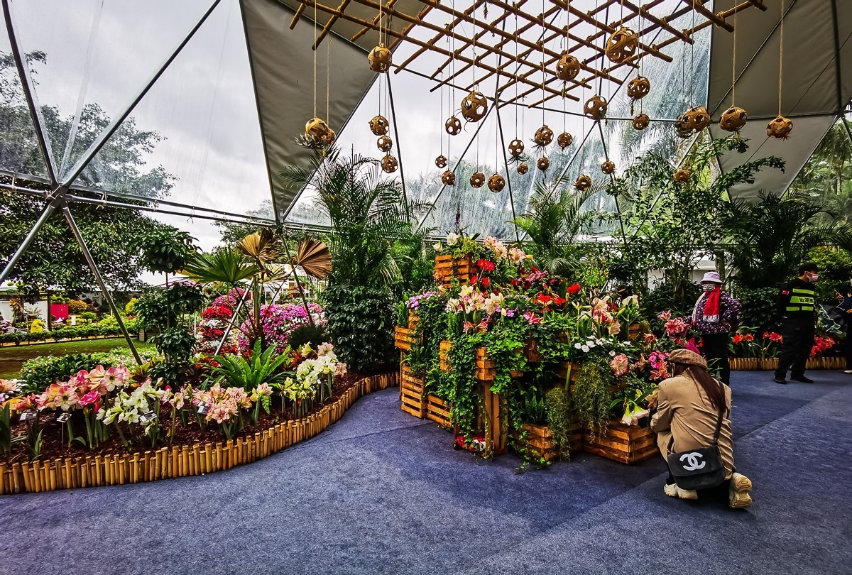 深圳仙湖植物园掠影