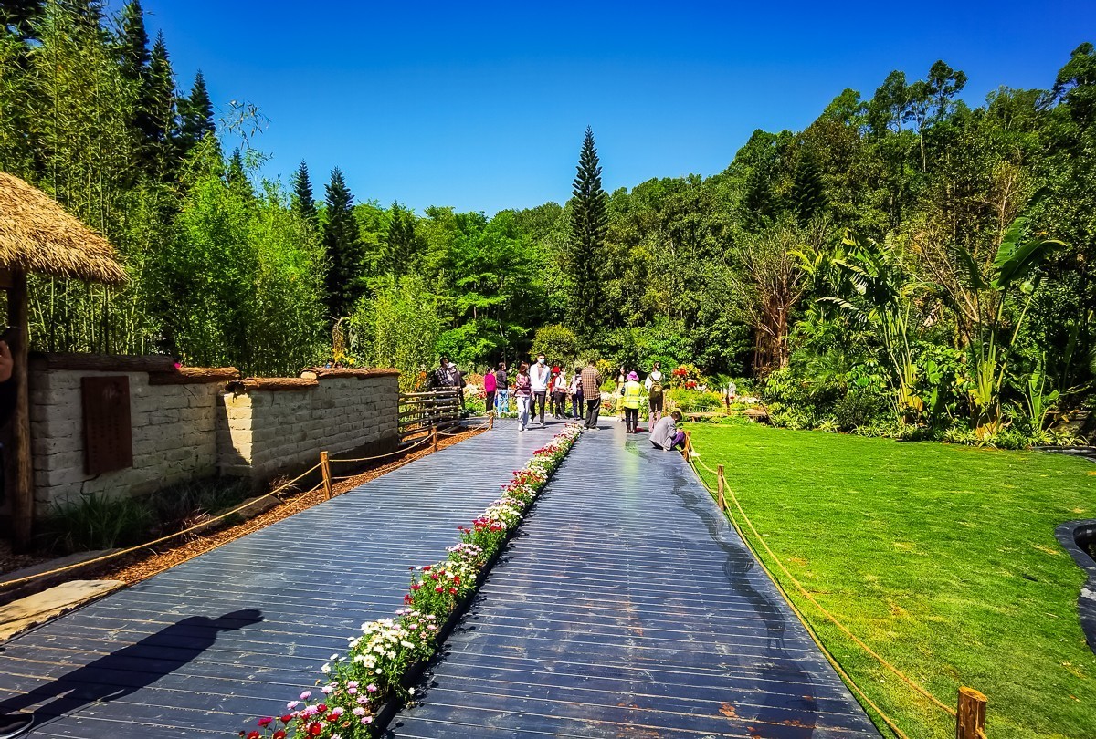 深圳仙湖植物园掠影