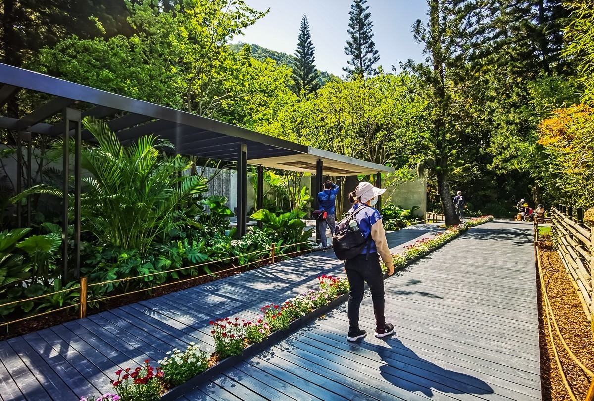 深圳仙湖植物园掠影