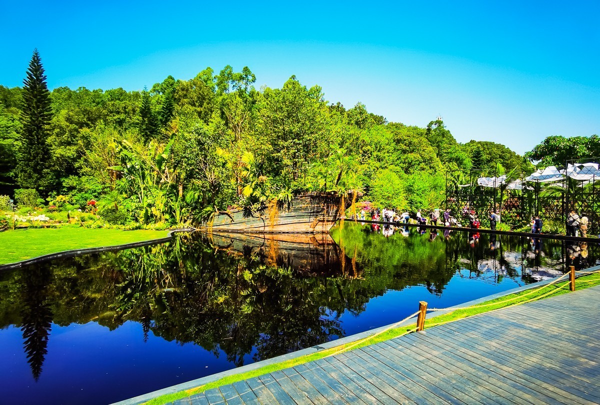 深圳仙湖植物园掠影