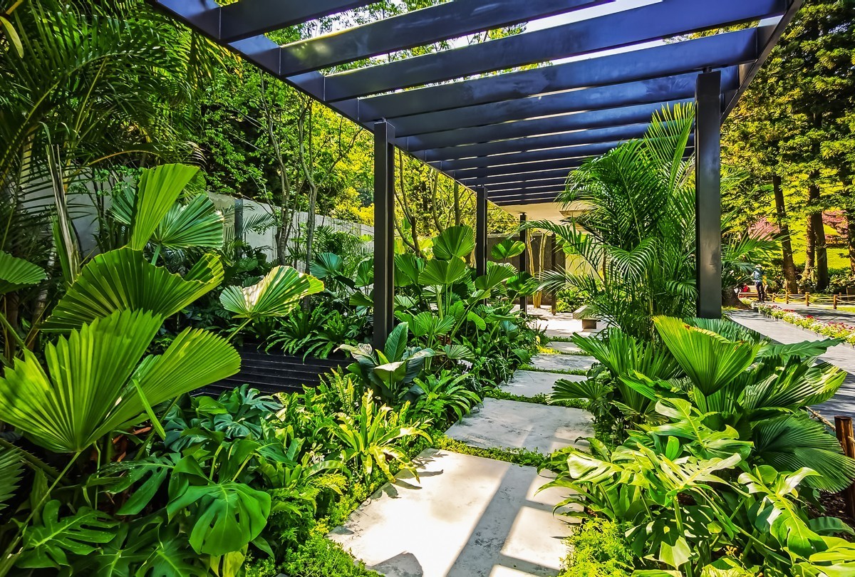 深圳仙湖植物园掠影