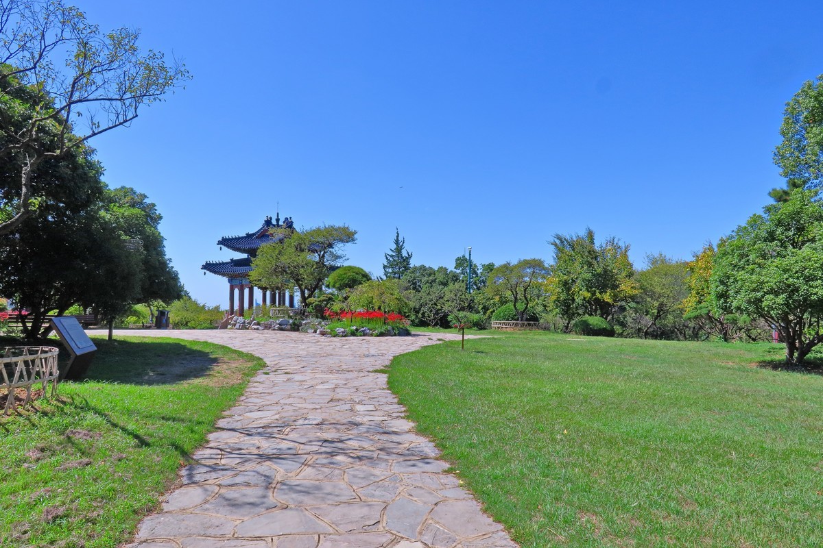 晴空万里的梅花山