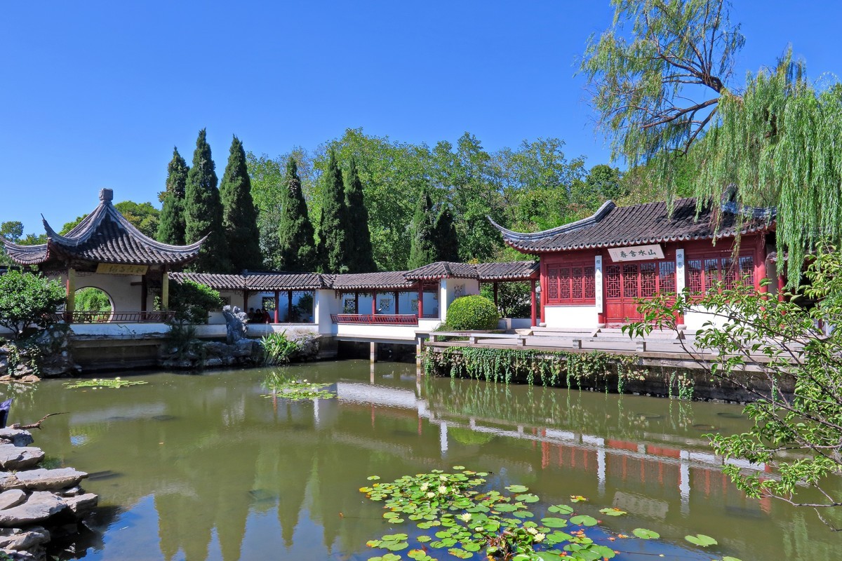 晴空万里的梅花山