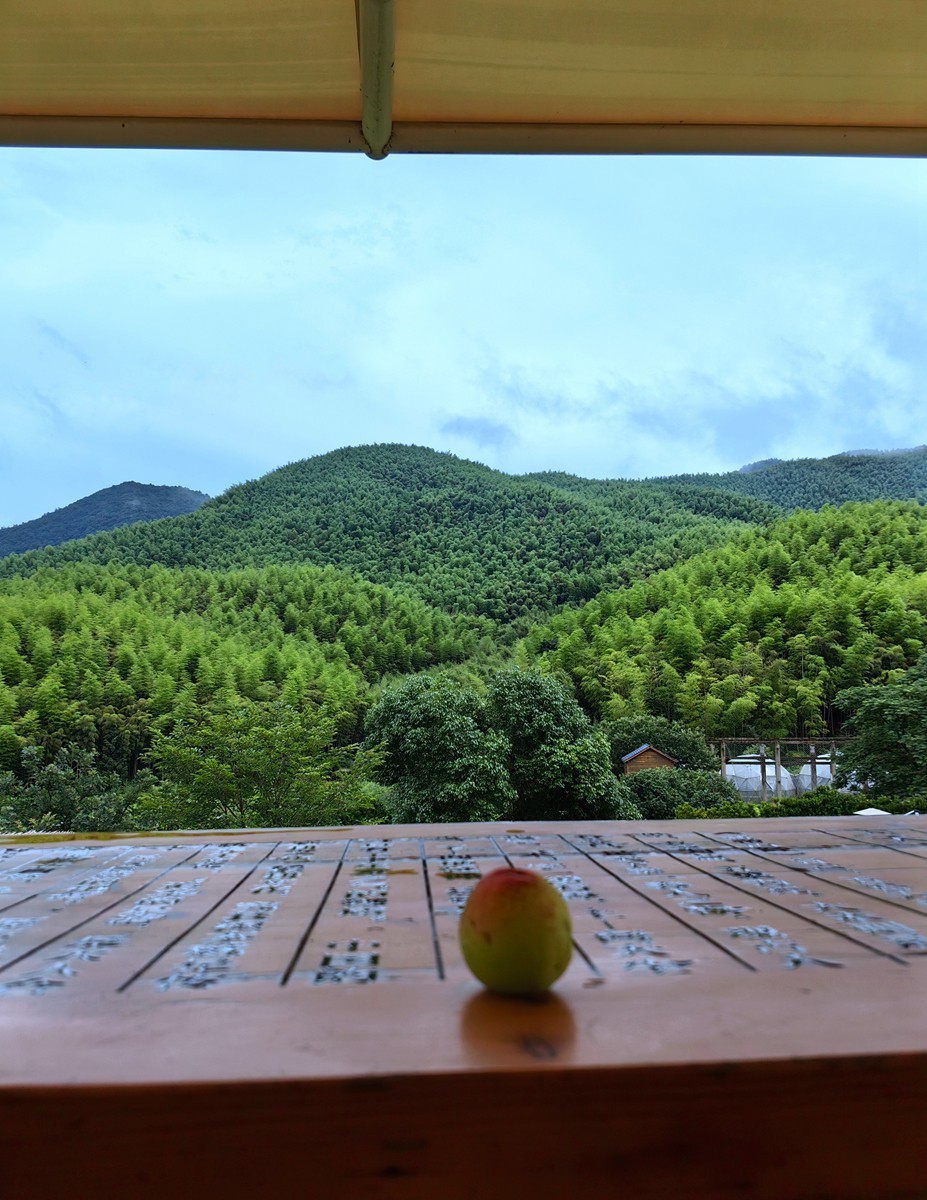 莫干山纪行之一