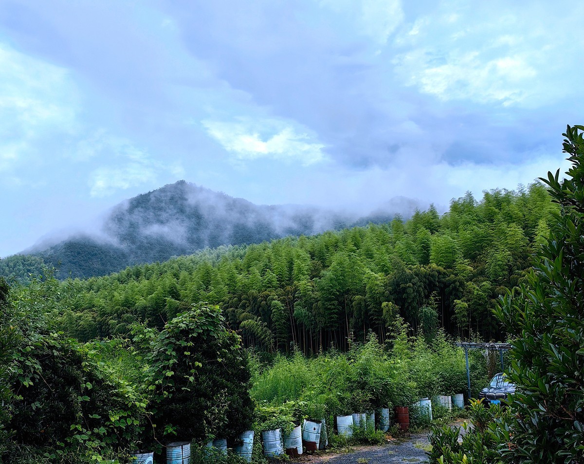 莫干山纪行之一