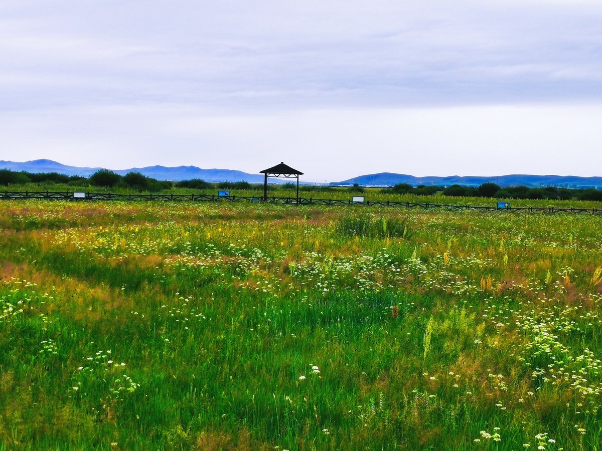 春暖花开的京北草原大汗行宫~~