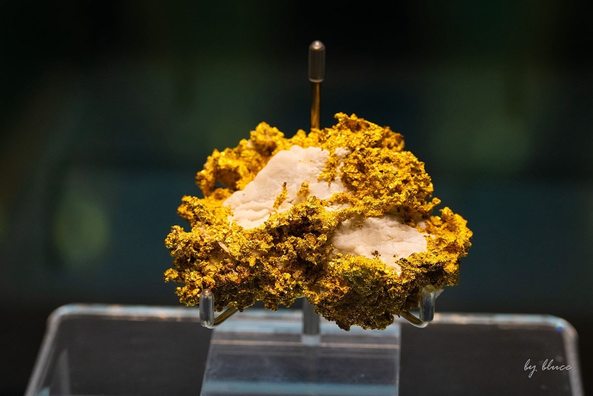 安徽省地质博物馆纪实