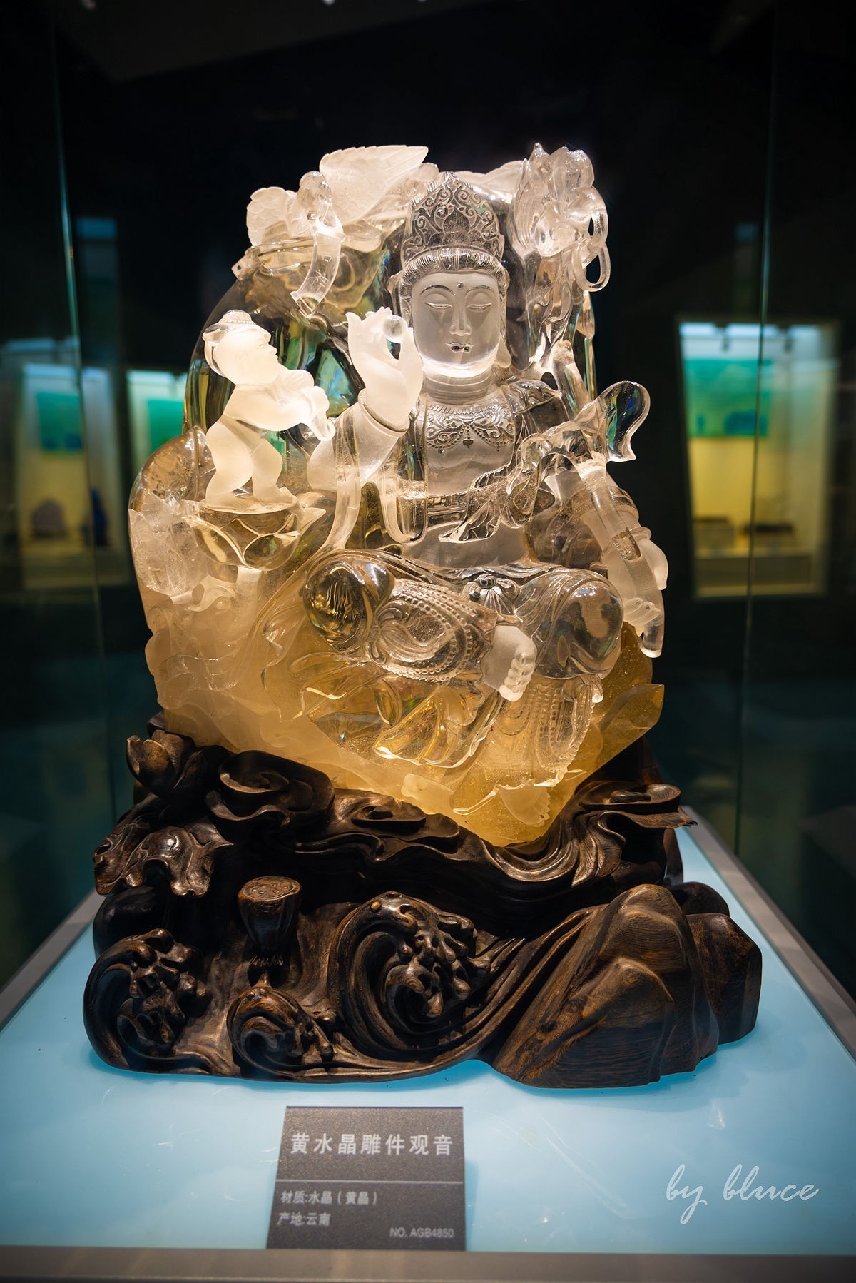 安徽省地质博物馆纪实