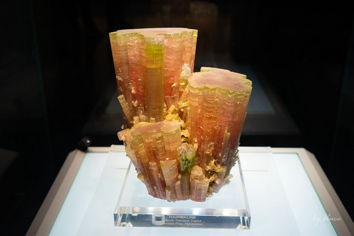 安徽省地质博物馆纪实