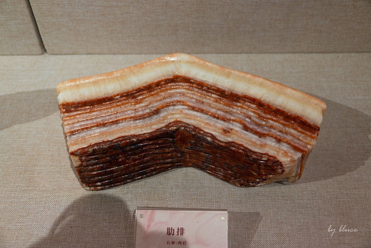 安徽省地质博物馆纪实