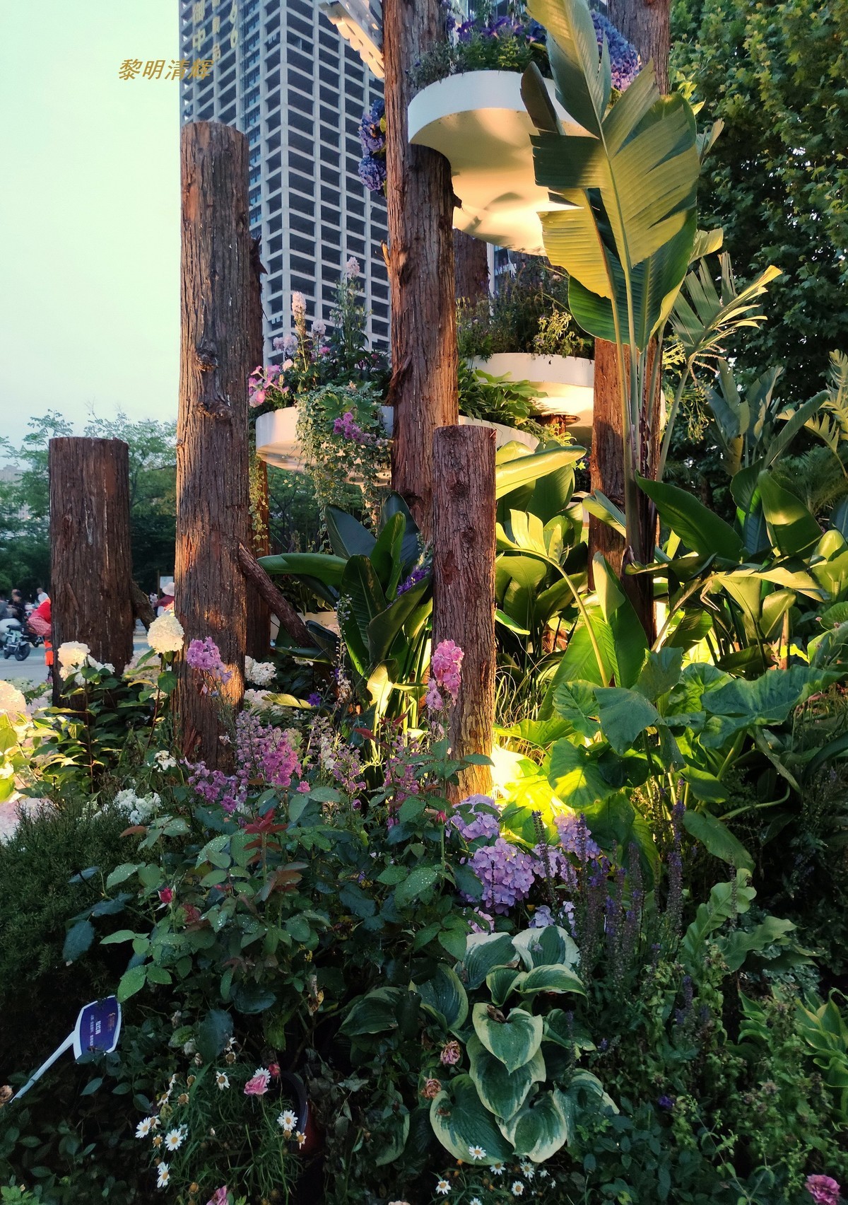 世界花园节（武汉）—2