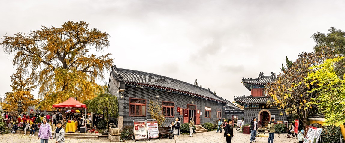 青岛法海寺的白果树