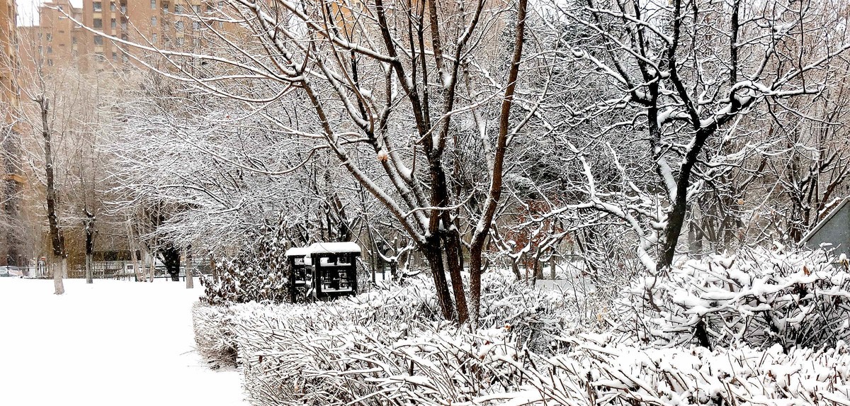 小区今年第一次下雪