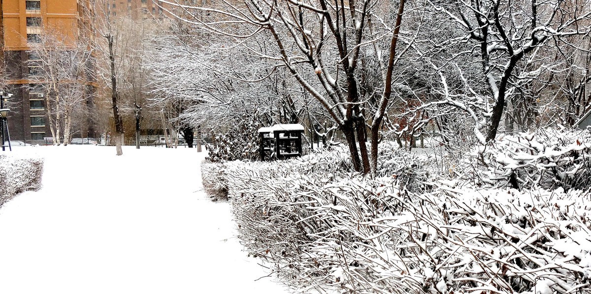 小区今年第一次下雪