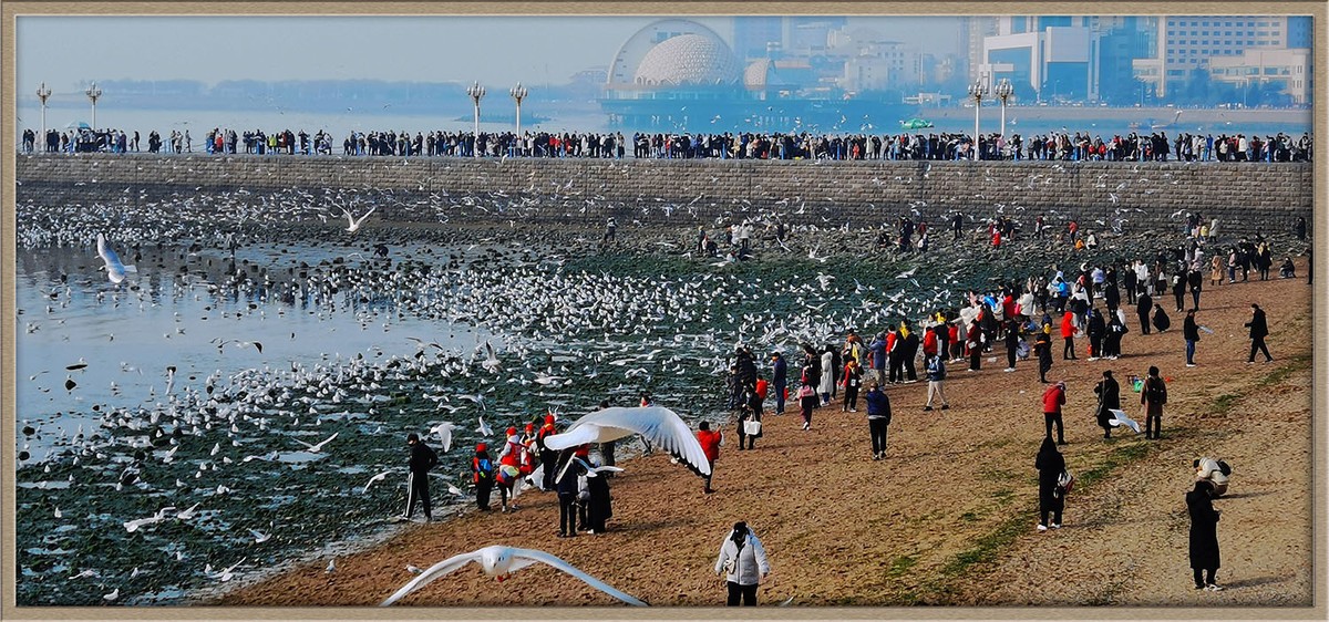 人与自然---岛城前海风光