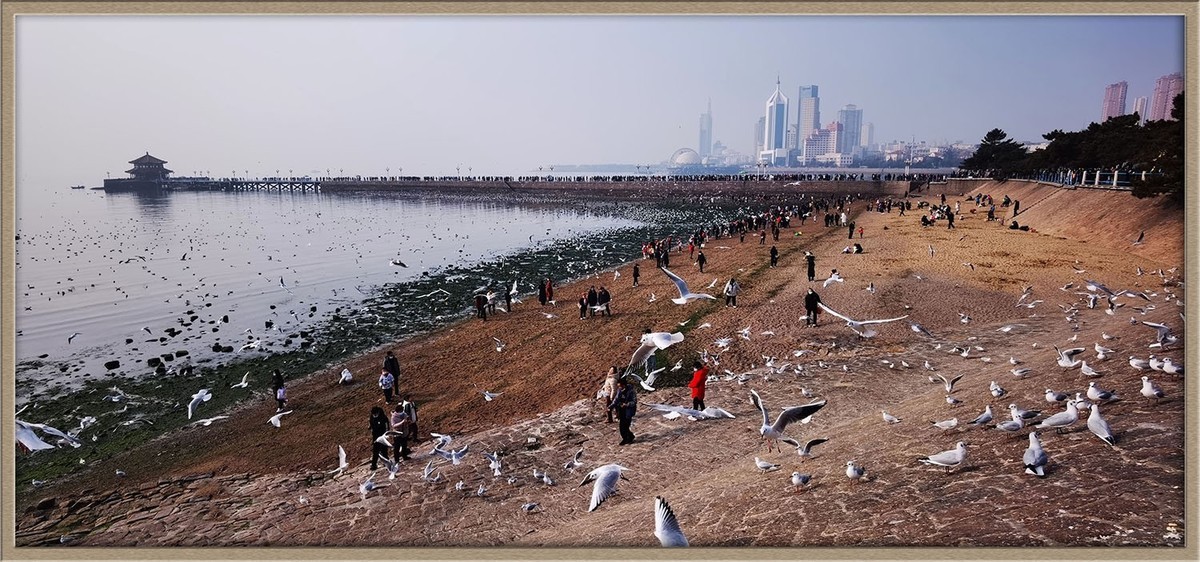 人与自然---岛城前海风光