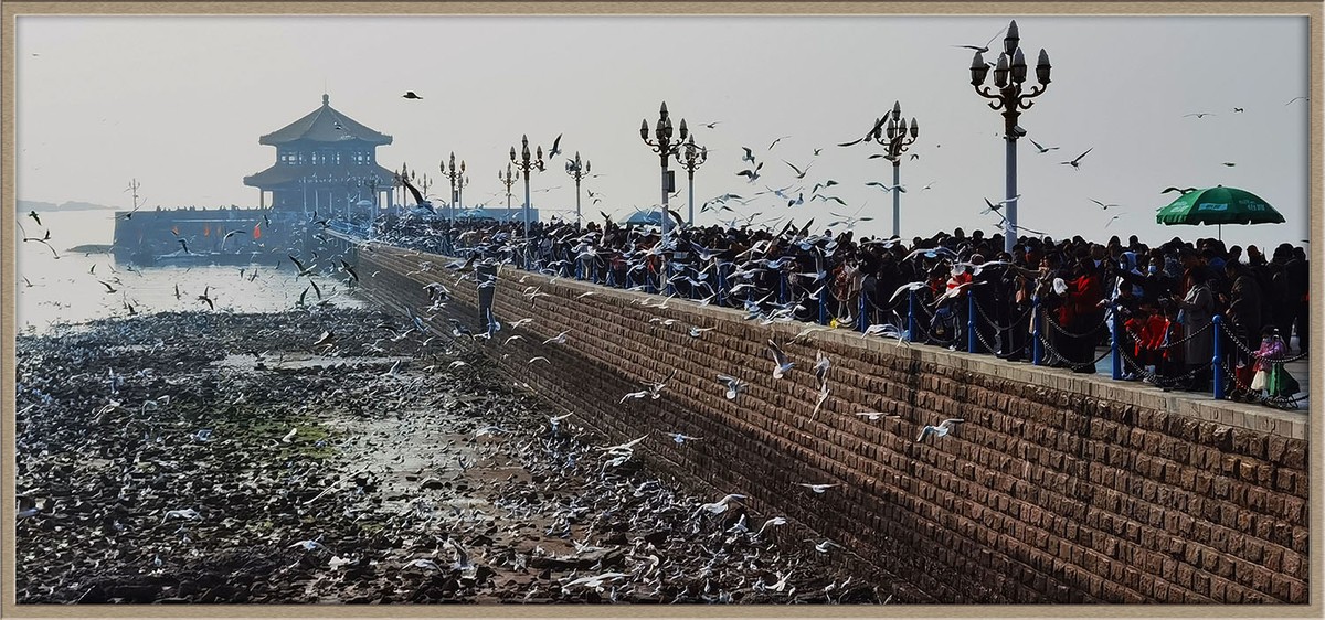 人与自然---岛城前海风光