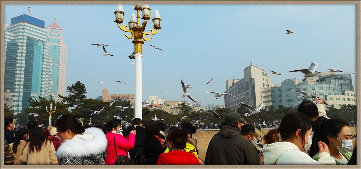 人与自然---岛城前海风光