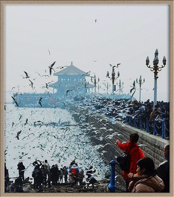 人与自然---岛城前海风光