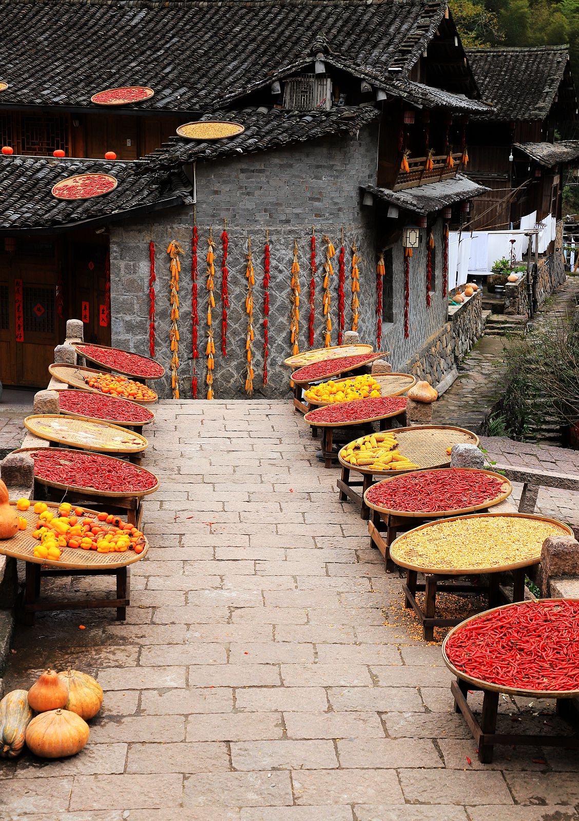 永嘉林坑晒秋(3)-中关村在线摄影论坛