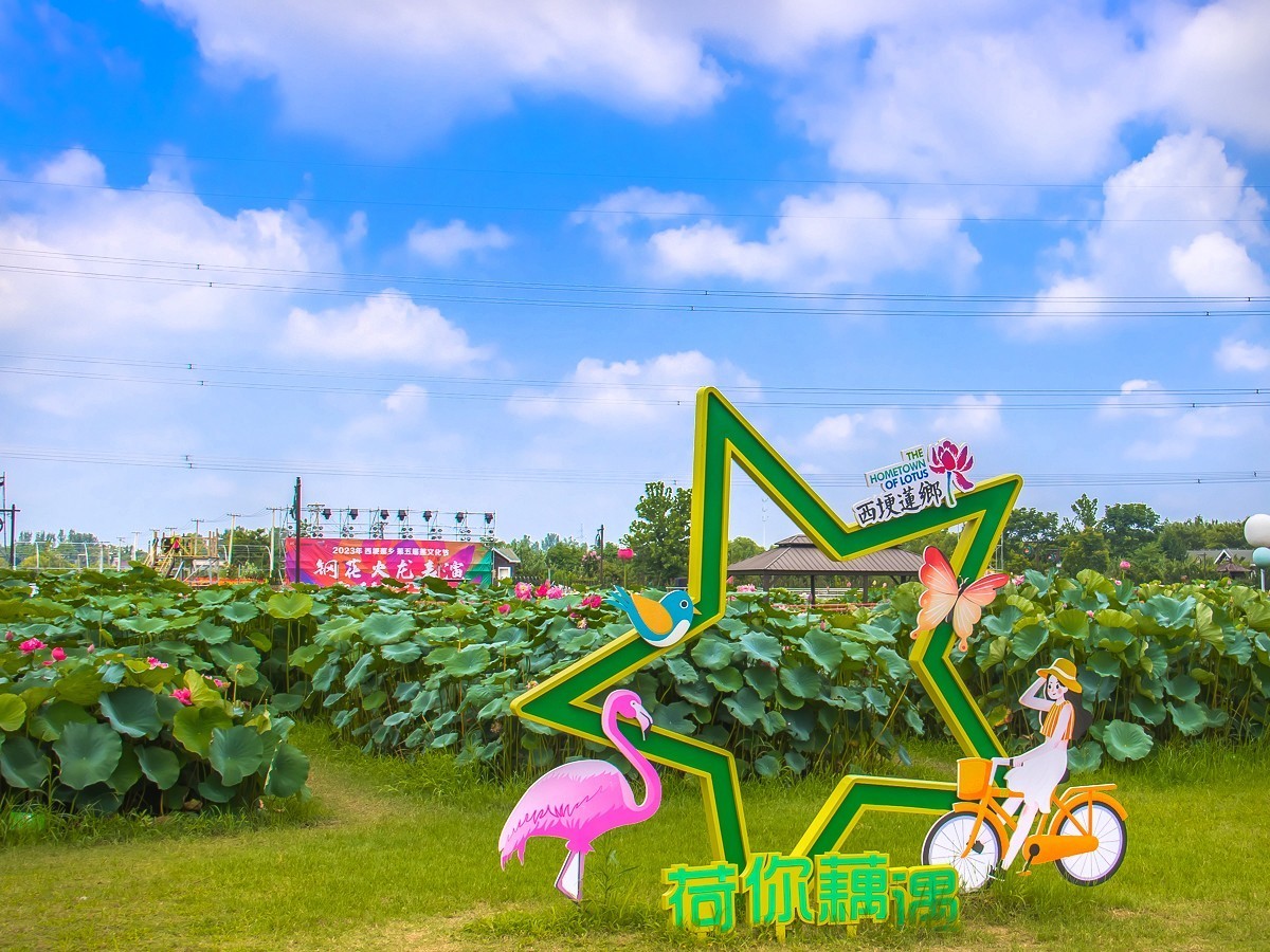 2023-08-16南京西梗莲乡（七）