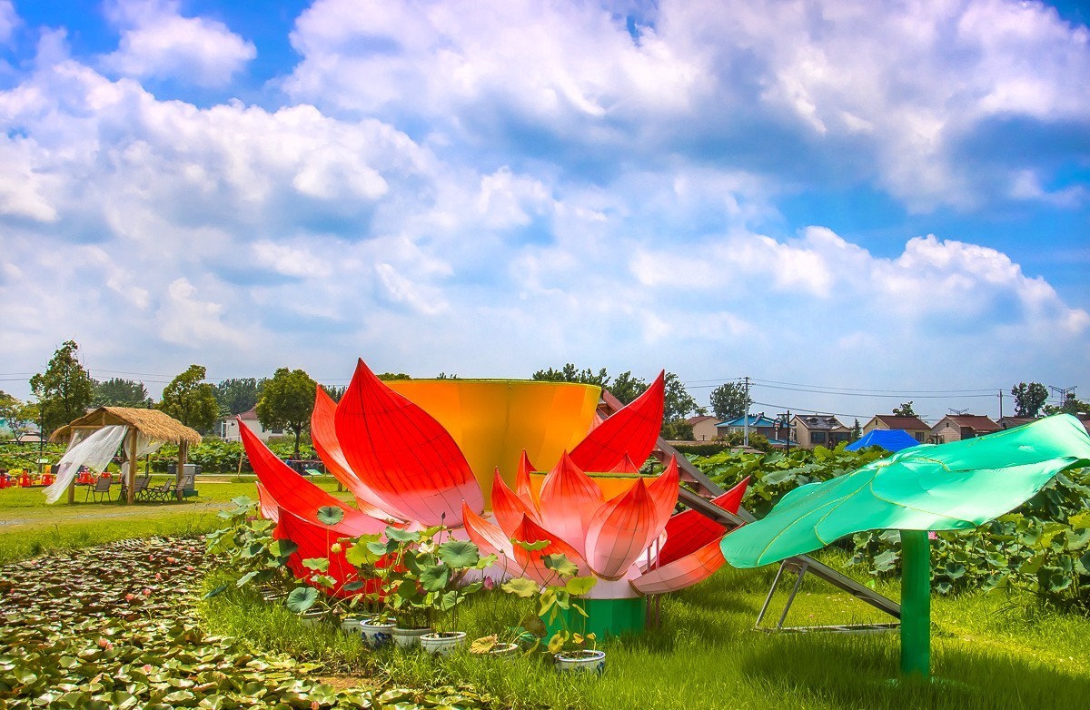 2023-08-16南京西梗莲乡（七）