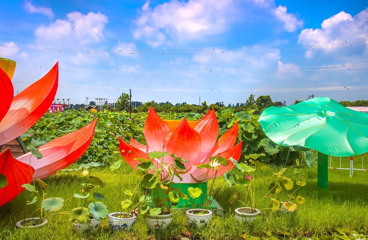 2023-08-16南京西梗莲乡（七）