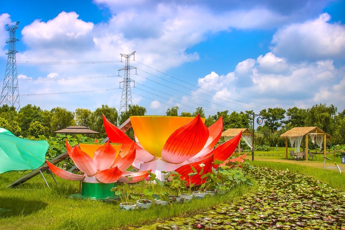 2023-08-16南京西梗莲乡（七）