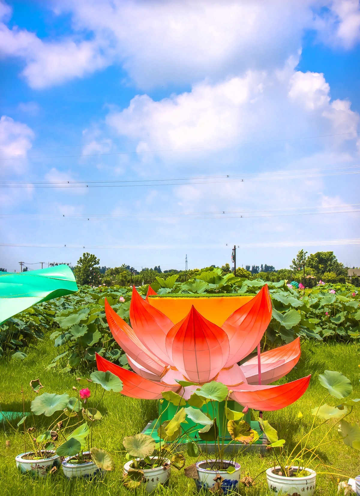 2023-08-16南京西梗莲乡（七）