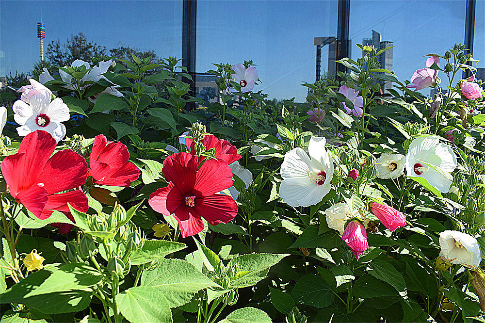 ～～·随拍——