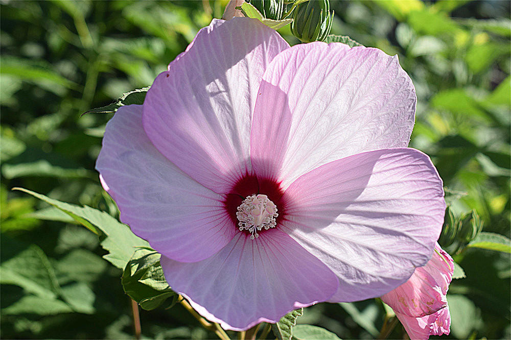 ～～·随拍——