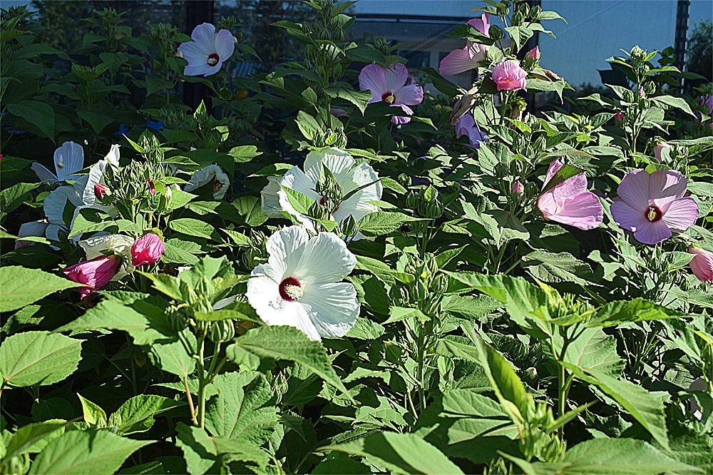 ～～·随拍——